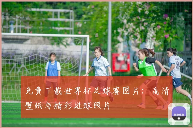 免费下载世界杯足球赛图片:高清壁纸与精彩进球照片