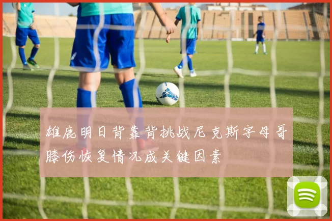 雄鹿明日背靠背挑战尼克斯字母哥膝伤恢复情况成关键因素