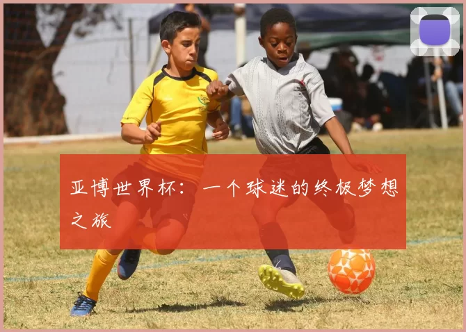 亚博世界杯：一个球迷的终极梦想之旅