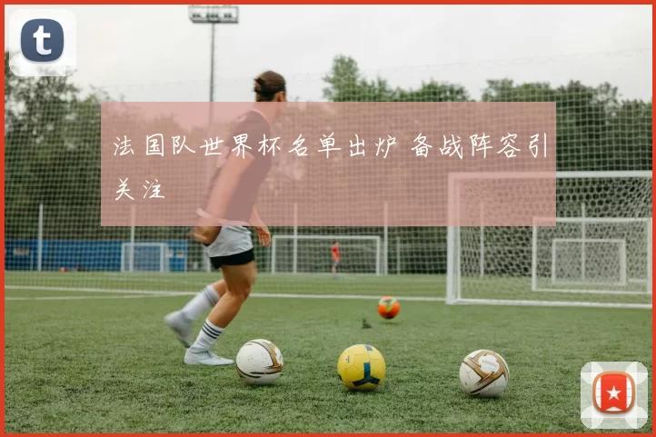 法国队世界杯名单出炉 备战阵容引关注
