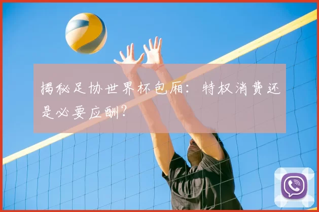 揭秘足协世界杯包厢：特权消费还是必要应酬？