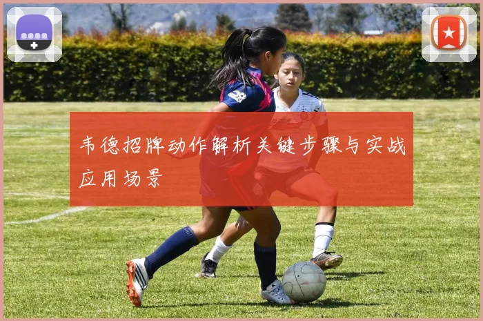 韦德招牌动作解析关键步骤与实战应用场景