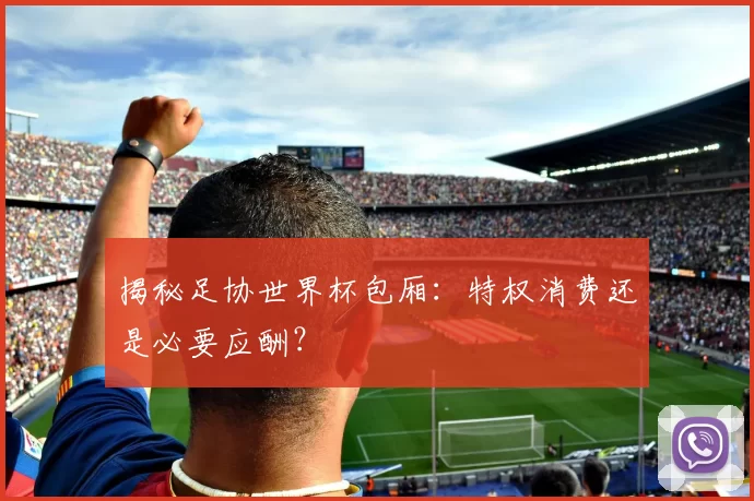 揭秘足协世界杯包厢：特权消费还是必要应酬？